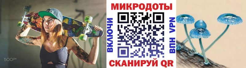 Псилоцибиновые грибы Psilocybine cubensis Балабаново